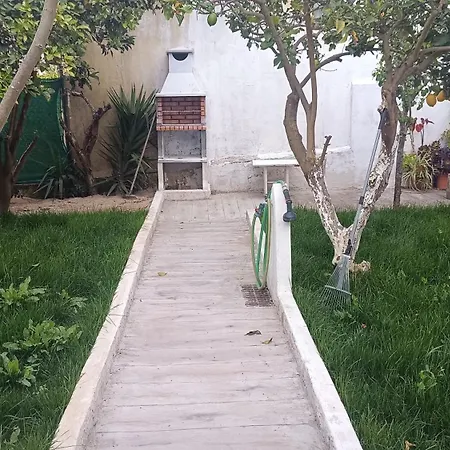 Ginjals_67